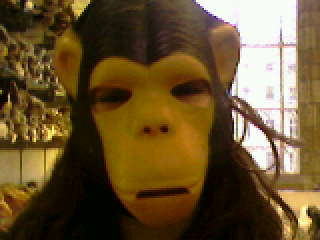 ssinge?vous avé di singe?